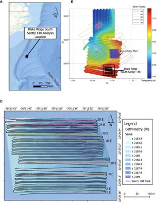 Seascape ecology in the vicinity of a Blake Ridge cold seep